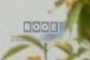 Boge