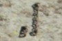 chain on the rock