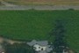 Vineyard