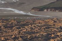 298719-210x140