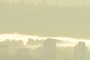 Fog