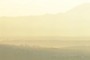 Misty Landscape