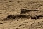 Ancient Step Pyramid