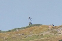 299421-210x140