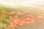 Autumn is coming