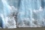 ice & snow