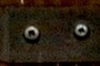 Screws