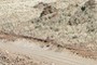 Road cut shown in G6