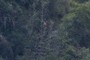 People getting down from Huayna Picchu