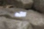 slip of paper
