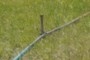 peg
