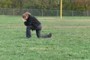 Tebow