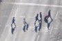 Streetcrossers...