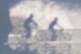Bicyclists...