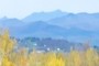 Mount Mansfield 