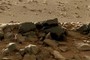 Black rocks