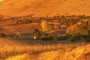 Dairy Glen