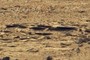Wafer Thin Rock Garden