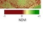 NDVI color table