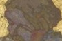 zoom9