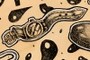 Detail 6
