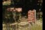 Signs