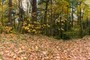 zoom out