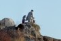 On the Peak