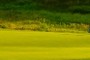 13th green