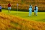12th green