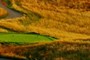 12th tees