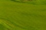 10th green