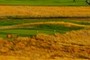 9th tees