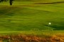 8th green
