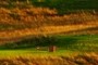 8th tees
