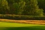 7th green