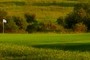 1st green