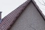 Detail-1