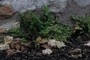 Detail-4