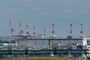 Forest of gantry crane