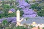 Jacarandas Waterkloof