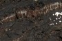Crack in the Pāhoehoe