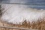 Sea Spray