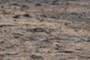 hmm, martian graffitti?