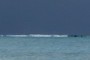 Breaking Waves