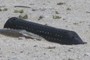 Squid Fishing Trap