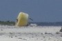 Massive Bouy