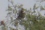 Bearing witness