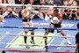 Cotto vs. Trout
