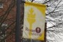 Rowan University Banner